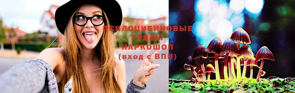 а пвп мука Медвежьегорск