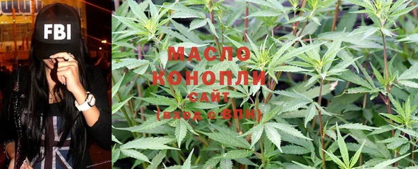 крисы Магадан