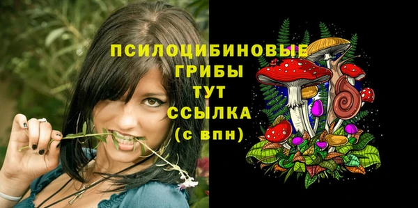 а пвп мука Медвежьегорск