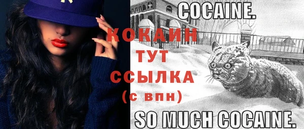 крисы Магадан