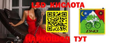 стаф Малгобек