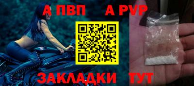 стаф Малгобек