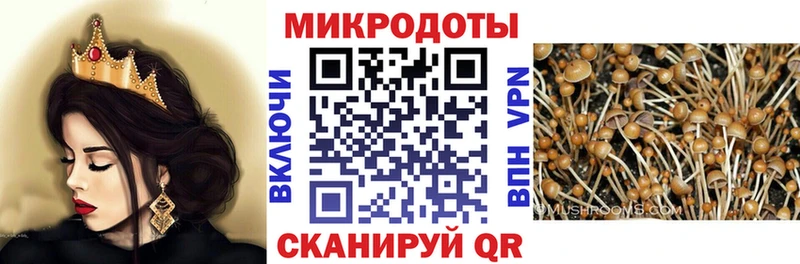 наркотики  Назарово  Галлюциногенные грибы Psilocybine cubensis 