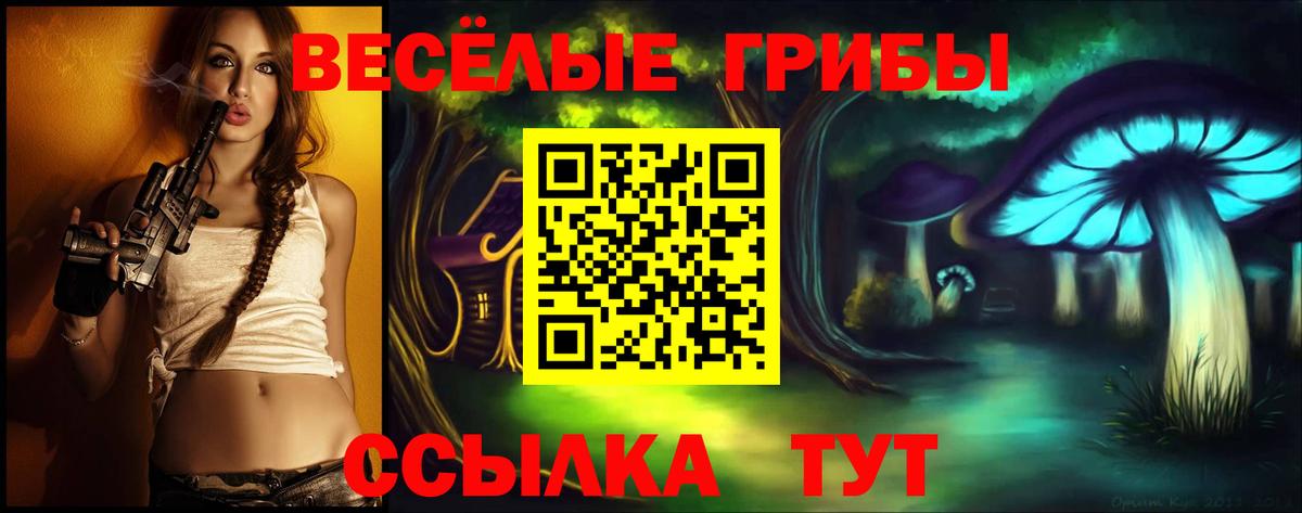 Назарово  Псилоцибиновые грибы прущие грибы  Псилоцибиновые грибы мухоморы  Вход с VPN 